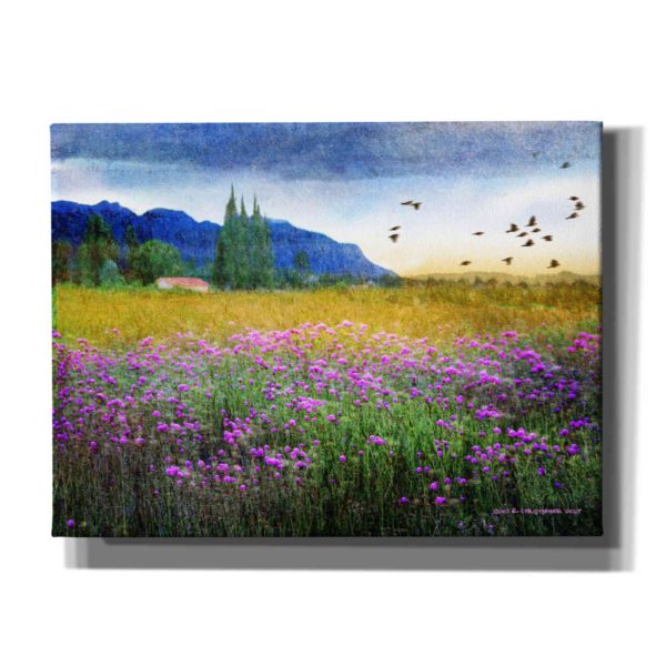 Mesa Verde and Knapweed  by Chris Vest, Giclee Canvas Wall Art Fashion