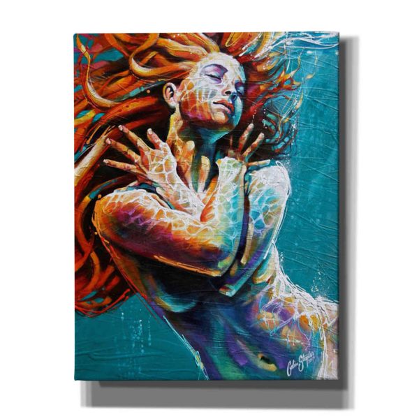 Floating in Color  by Colin John Staples, Giclee Canvas Wall Art Supply