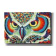 Bright Eyes  by Carolee Vitaletti, Giclee Canvas Wall Art Cheap