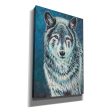 Spirit Animal II  by Carolee Vitaletti Giclee Canvas Wall Art Cheap