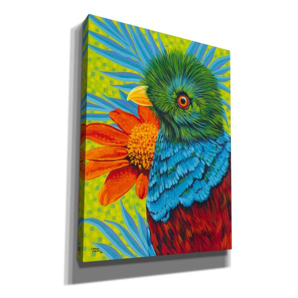 Bird in the Tropics II  by Carolee Vitaletti, Giclee Canvas Wall Art Discount