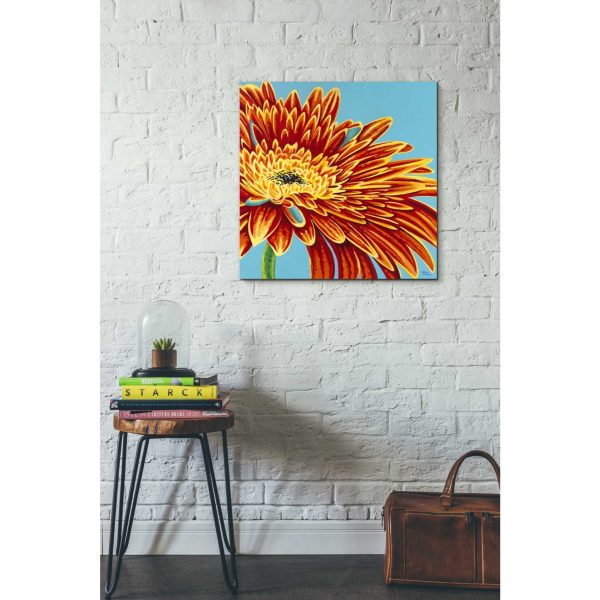 Color Bursts I  by Carolee Vitaletti, Giclee Canvas Wall Art on Sale