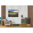 Mesa Verde and Knapweed  by Chris Vest, Giclee Canvas Wall Art Fashion