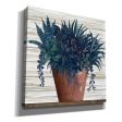 Remarkable Succulents II  by Cindy Jacobs, Giclee Canvas Wall Art Online Hot Sale