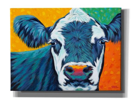 Colorful Country Cows I  by Carolee Vitaletti, Giclee Canvas Wall Art Online now