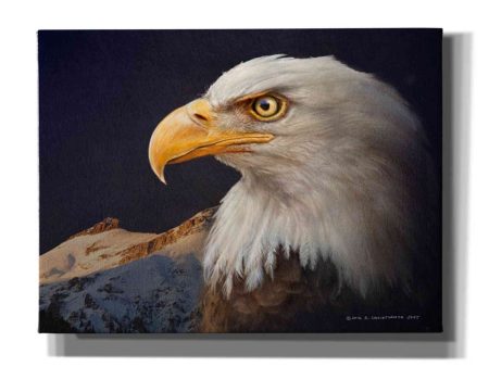 Bald Eagle Study  by Chris Vest, Giclee Canvas Wall Art For Discount