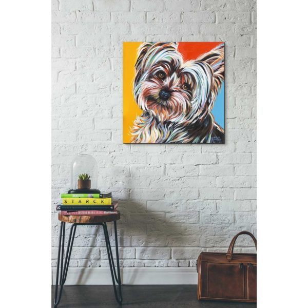 Sweet Yorkie II  by Carolee Vitaletti Giclee Canvas Wall Art Sale