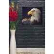 Bald Eagle Study  by Chris Vest, Giclee Canvas Wall Art For Discount