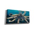 Wild Octopus II  by Carolee Vitaletti Giclee Canvas Wall Art Discount