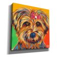 Sweet Yorkie I  by Carolee Vitaletti Giclee Canvas Wall Art Hot on Sale