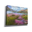 Heather Scotland  by Chris Vest, Giclee Canvas Wall Art For Discount