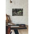 Stegosaurus Family  Canvas Wall Art For Sale