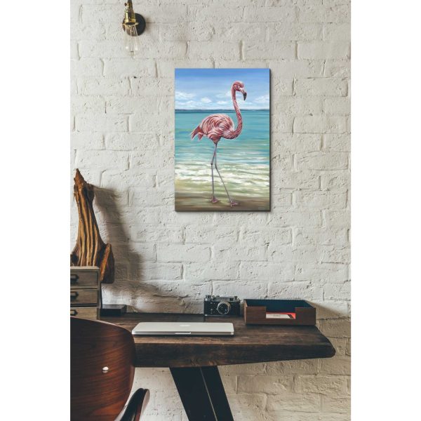 Beach Walker Flamingo I  by Carolee Vitaletti, Giclee Canvas Wall Art Sale