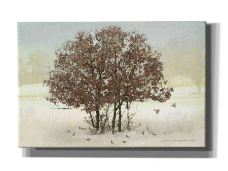 Juncos and Oak  by Chris Vest, Giclee Canvas Wall Art Online now