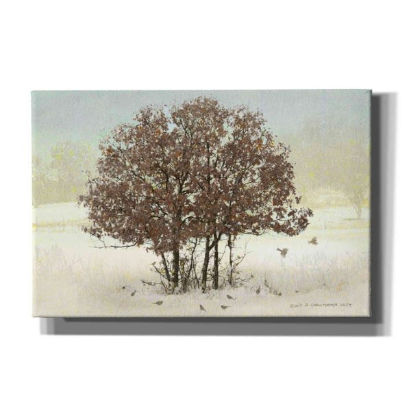 Juncos and Oak  by Chris Vest, Giclee Canvas Wall Art Online now