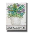 Believe Succulents  by Cindy Jacobs, Giclee Canvas Wall Art Sale