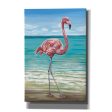 Beach Walker Flamingo I  by Carolee Vitaletti, Giclee Canvas Wall Art Sale