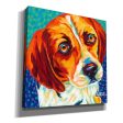 Dogs in Color II  by Carolee Vitaletti, Giclee Canvas Wall Art For Cheap