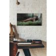 Carnotaurus  Canvas Wall Art Cheap