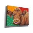 Colorful Country Cows II  by Carolee Vitaletti, Giclee Canvas Wall Art Fashion