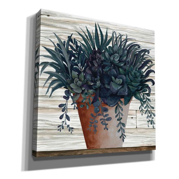 Remarkable Succulents I  by Cindy Jacobs, Giclee Canvas Wall Art Online now