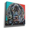 Canine Buddy I  by Carolee Vitaletti, Giclee Canvas Wall Art Sale