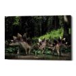 Stegosaurus Family  Canvas Wall Art For Sale