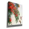 Hanging Red Roses and Hummers  by Chris Vest, Giclee Canvas Wall Art Cheap