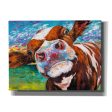 Curious Cow I  by Carolee Vitaletti Giclee Canvas Wall Art Online now