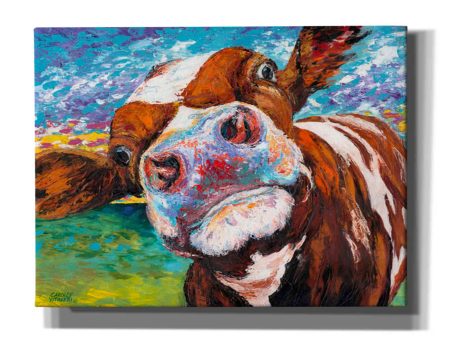 Curious Cow I  by Carolee Vitaletti Giclee Canvas Wall Art Online now