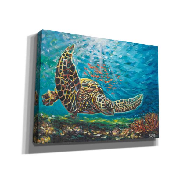 Deep Sea Swimming I  by Carolee Vitaletti Giclee Canvas Wall Art Online Hot Sale