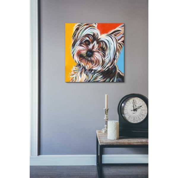 Sweet Yorkie II  by Carolee Vitaletti Giclee Canvas Wall Art Sale