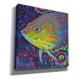 Brilliant Tropical Fish I  by Carolee Vitaletti Giclee Canvas Wall Art Online now