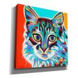 Dramatic Cats II  by Carolee Vitaletti Giclee Canvas Wall Art For Cheap