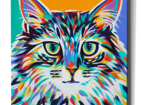 Dramatic Cats I  by Carolee Vitaletti Giclee Canvas Wall Art Discount