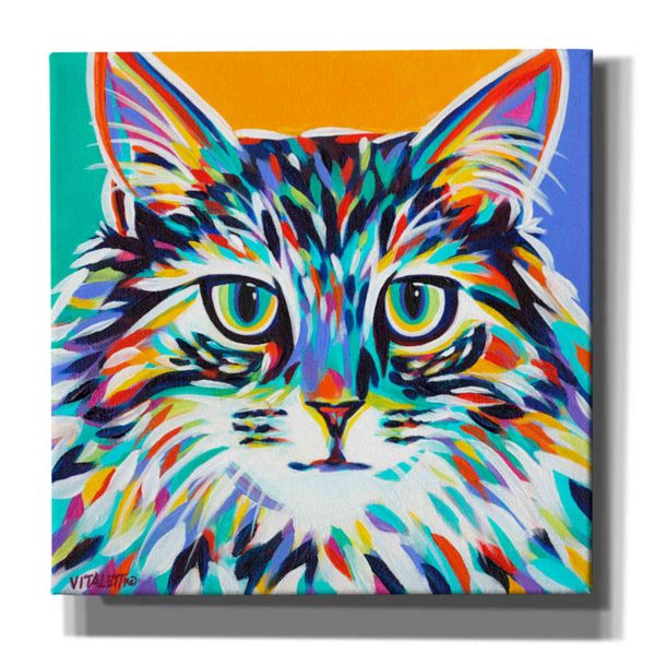 Dramatic Cats I  by Carolee Vitaletti Giclee Canvas Wall Art Discount