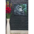 Jungle Monkey II  by Carolee Vitaletti Giclee Canvas Wall Art Discount