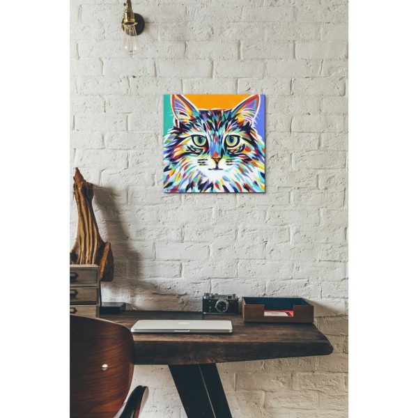 Dramatic Cats I  by Carolee Vitaletti Giclee Canvas Wall Art Discount