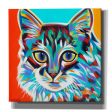 Dramatic Cats II  by Carolee Vitaletti Giclee Canvas Wall Art For Cheap