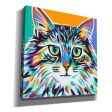 Dramatic Cats I  by Carolee Vitaletti Giclee Canvas Wall Art Discount