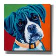 Cute Pups I  by Carolee Vitaletti Giclee Canvas Wall Art Cheap