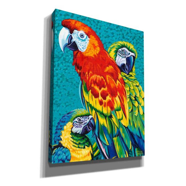 Birds in Paradise III  by Carolee Vitaletti Giclee Canvas Wall Art Hot on Sale