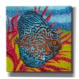 Brilliant Tropical Fish II  by Carolee Vitaletti Giclee Canvas Wall Art Discount