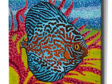 Brilliant Tropical Fish II  by Carolee Vitaletti Giclee Canvas Wall Art Discount