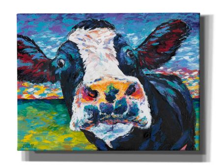 Curious Cow II  by Carolee Vitaletti Giclee Canvas Wall Art Discount