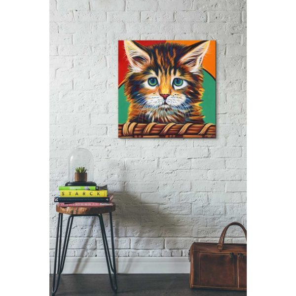 Kitten in Basket I  by Carolee Vitaletti Giclee Canvas Wall Art Online Hot Sale