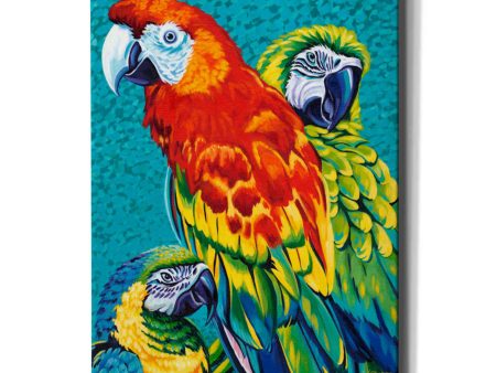 Birds in Paradise III  by Carolee Vitaletti Giclee Canvas Wall Art Hot on Sale