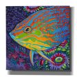 Brilliant Tropical Fish I  by Carolee Vitaletti Giclee Canvas Wall Art Online now