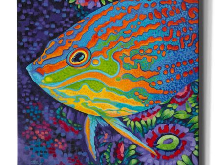 Brilliant Tropical Fish I  by Carolee Vitaletti Giclee Canvas Wall Art Online now