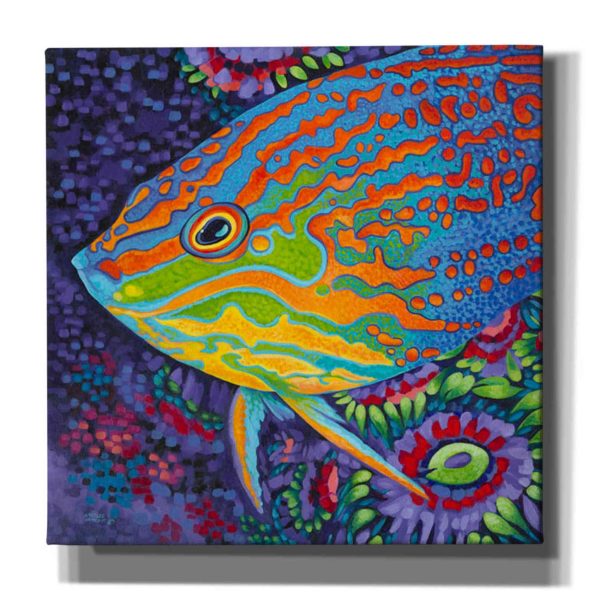 Brilliant Tropical Fish I  by Carolee Vitaletti Giclee Canvas Wall Art Online now